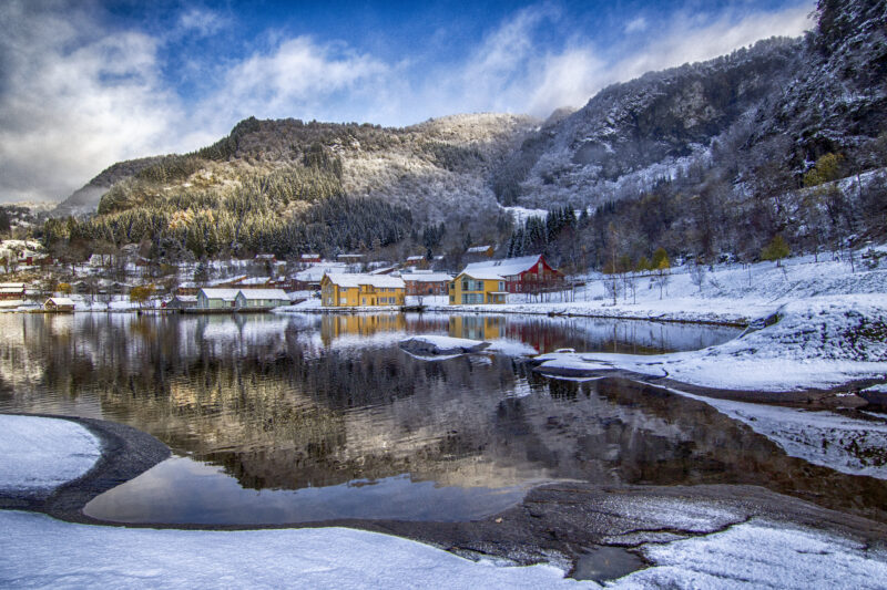 RCN school landscape winter