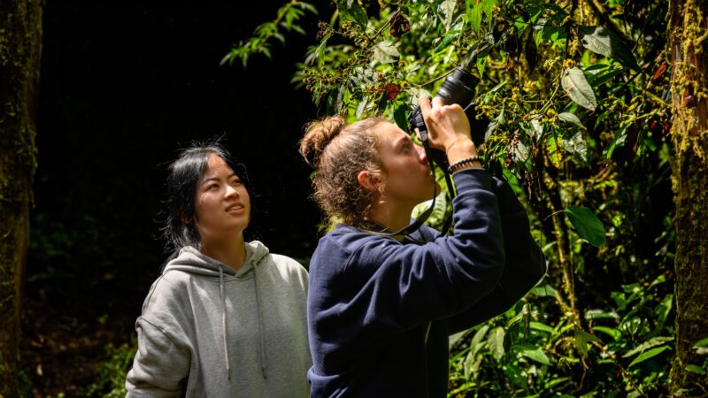 Two students, one with a camera, looking to a wall of trees in the middle of the forest