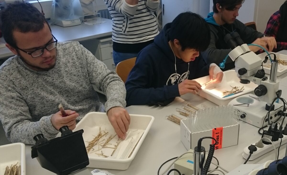 UWC RBC Wild Bee Scientists