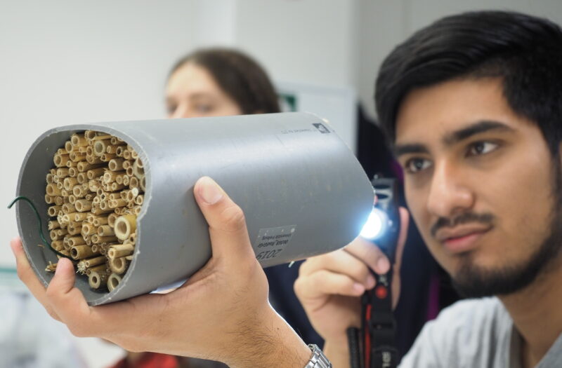 UWC RBC Wild Bee Scientists