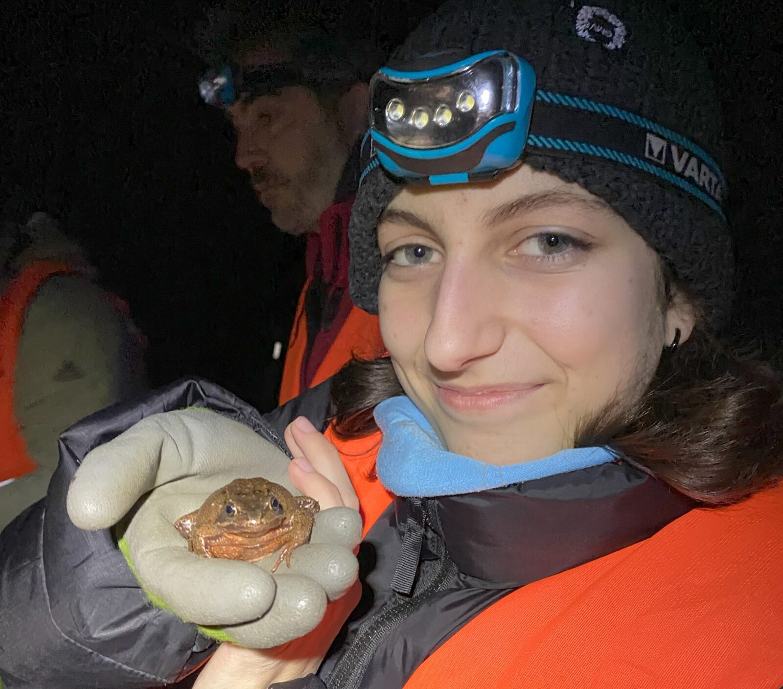 Amphibian rescue at UWC RBC - UWC Sustainability