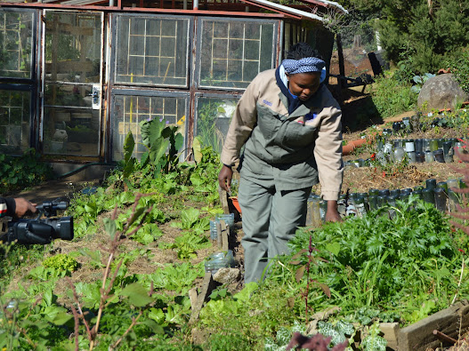 Waterford Kamhlaba UWCSA Permaculture Garden