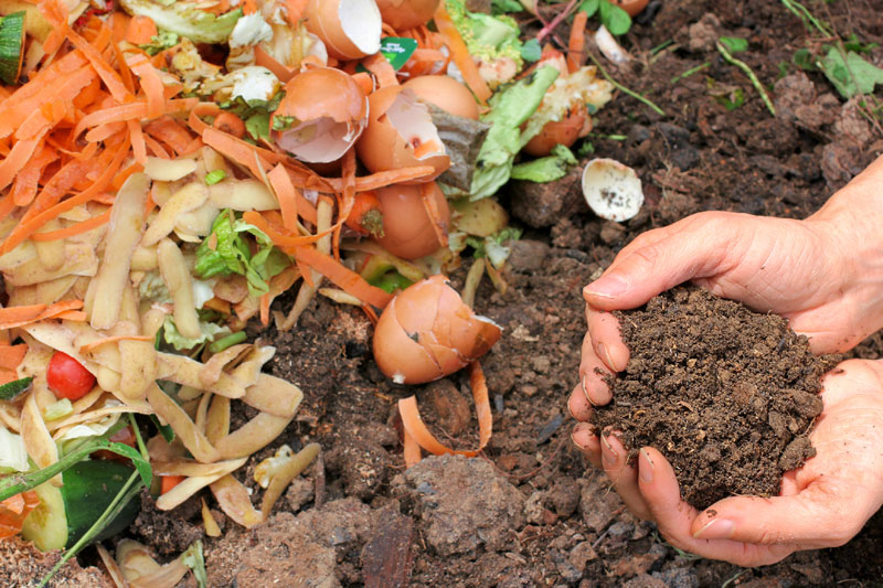 UWCSEA Composting