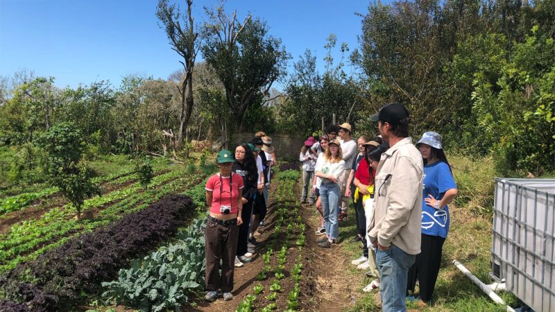 Students and staff members in an organic farm during a sunny day